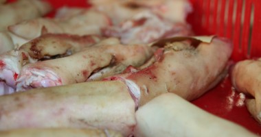 Stire din Economie : Constanța / S-au aruncat produse alimentare de peste 74.000 lei