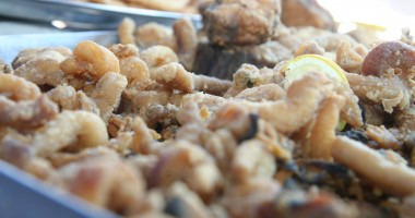 Stire din Economie : Constanța / Aproape 24 de tone de alimente, aruncate în doar o săptămână!