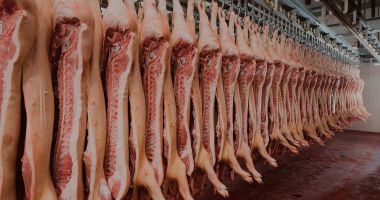Stire din Economie : Marea Britanie interzice importul de carne de porc românească din cauza pestei porcine
