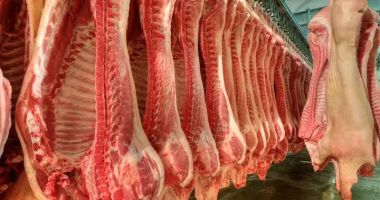 Stire din Actualitate : Un român care vinde carne de porc stricată a pus pe jar autorităţile germane
