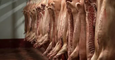 Stire din Economie : Producătorii de carne de porc avertizează: Fermele riscă să se închidă din cauza prețurilor