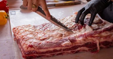 Stire din Social : Carnea artificială, interzisă în România. Parlamentarii au decis că nu va fi comercializată la noi