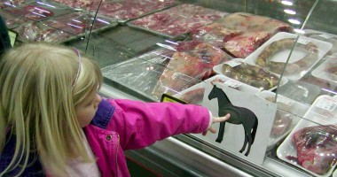 Stire din Fun : Ultimele știri despre carnea  de cal din România