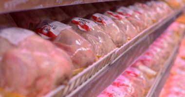 Stire din Social : Paul Anghel (ANPC): Înscrierea pe etichetă ''hrănit cu porumb'', doar dacă cel puţin jumătate din hrană este porumb