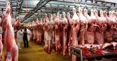 România, dependentă de importuri. La porc producem sub 50% din consum