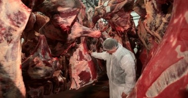Stire din Diverse : Scandalul cărnii de cal. Ambasadorul Franței a sosit la Palatul Victoria