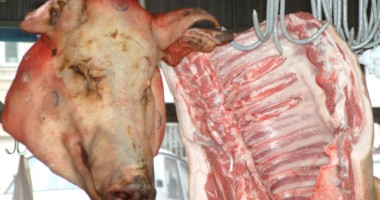 Stire din Economie : Exporturile de carne de porc pe piața UE ar putea fi reluate din 2014