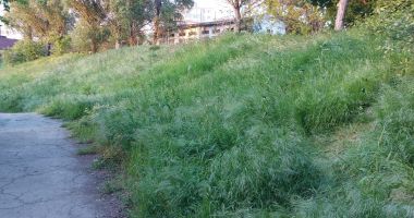 Cartierul Tomis Nord, cea mai căutată zonă din Constanța, dar lăsată de izbeliște - 2