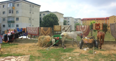 Șatra din inima Constanței! Terorizați de mai multe familii de romi - 6