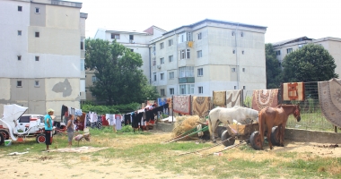 Căruțele, coșmarul conducătorilor auto! "Polițiștii sunt legați de mâini, nu au ce să le facă" - 2
