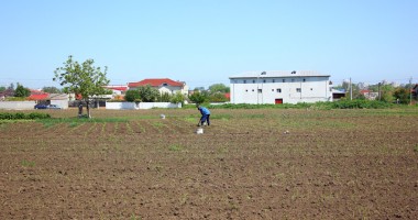 Cartierul Veteranilor, câmpul "semănat" cu viluțe - 9