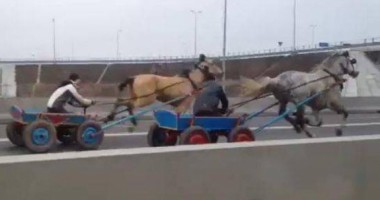 Stire din Eveniment : VIDEO/ Liniuță între căruțe pe Autostrada Soarelui