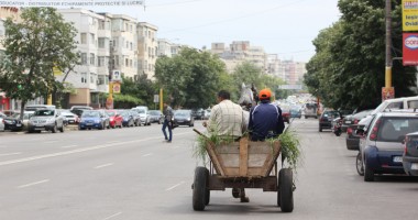 Stire din Eveniment : Căruțele bagă zâzanie între constănțeni și polițiști