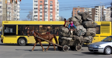 Stire din Eveniment : Ai văzut căruțe pe străzile Constanței? Sună la Poliția Locală!