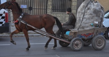 Stire din Eveniment : Inadmisibil: Căruțași pe bulevardele Constanței anului 2012