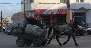 Căruțele, coșmarul conducătorilor auto! "Polițiștii sunt legați de mâini, nu au ce să le facă" - 13