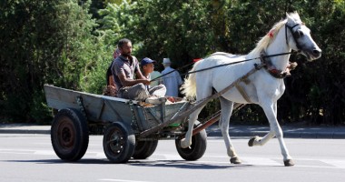 Stire din Politică-Administrație : ADIO căruțelor de pe străzile Constanței!