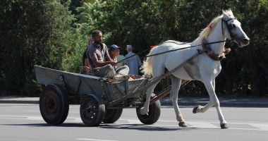 Căruțele, coșmarul conducătorilor auto! "Polițiștii sunt legați de mâini, nu au ce să le facă" - 10