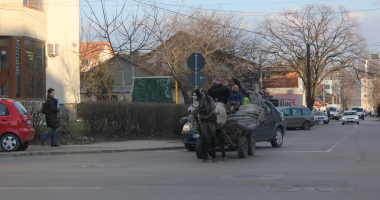 Căruțele, coșmarul conducătorilor auto! "Polițiștii sunt legați de mâini, nu au ce să le facă" - 12