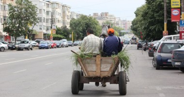 Stire din Eveniment : Cum se luptă Poliția Constanța cu birjarii și căruțașii
