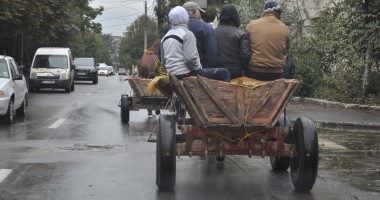 Stire din Eveniment : Căruțașii fac legea, polițiștii ridică din umeri