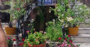 Fostul preot Gheorghe Stoica şi-a transformat casa într-un muzeu în aer liber - 3