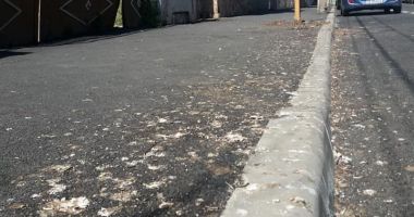 Ce mizerie în buricul Constanței! Slalom printre rahați și găinaț. GALERIE FOTO - 4