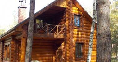Stire din Economie : La fiecare 28 de secunde, în Alpi crește lemn cât pentru a construi o casă
