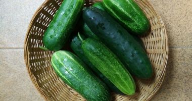 Stire din Sănătate : Castravetele contribuie la eliminarea toxinelor din organism