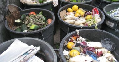 Cât de mare este risipa de alimente în România?