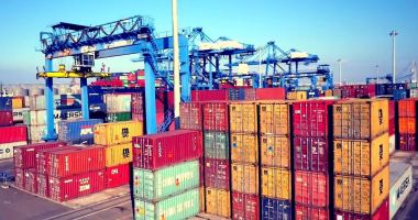 Stire din Economie : Câte containere cu gunoaie au trecut fluierând prin fața scanerelor Vămii din portul Constanța?