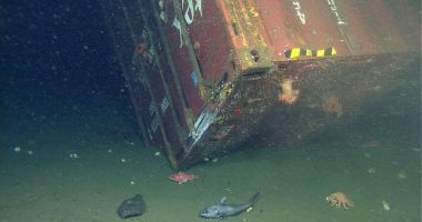 Câte containere încărcate cu mărfuri ajung pe fundul mărilor și oceanelor? - 10