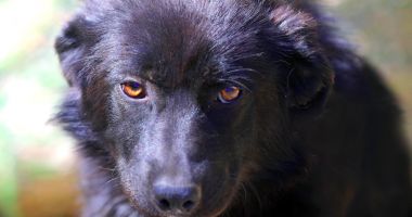 Stire din Social : Nera visează cu ochii deschiși la o familie care s-o iubească