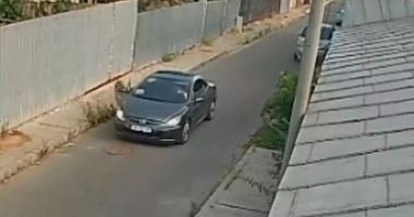Stire din Eveniment : Cruzimea faţă de animale se plăteşte. Ce amendă a primit o tânără care a abandonat doi căței