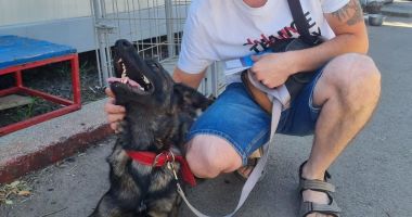 Stire din Social : Roxi a primit o nouă șansă la viață. Alți cățeluși așteaptă să fie adoptați