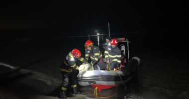 Stire din Eveniment : Opraţiune de salvare la Plaja Malibu. Un câine a fost salvat de la înec