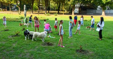 Stire din Social : Şase câini fără stăpân, adoptaţi într-o singură zi