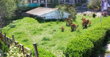 Stire din Constanța focus : "Pe strada Mircea se află peste 200 de morminte"