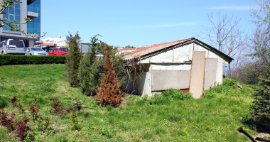 Stire din Cultură-Educație : Cum ne batem joc de istoria antică a Tomisului