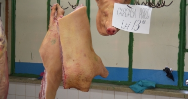 Stire din Social : CAZ DE TRICHINELOZĂ, depistat la Poarta Albă!