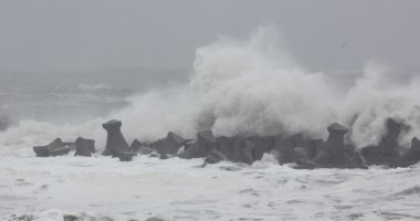 Stire din Social : Recife artificiale în Marea Neagră