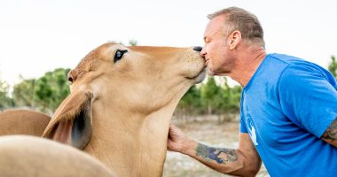 Ce animale văzuşi pe-acolo?