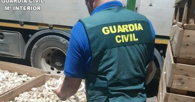 Stire din Actualitate : Ce mai fură românii! Prejudiciul se ridică la 600.000 de euro