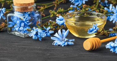 Foto - Ceaiul de cicoare, benefic pentru digestie, ficat și echilibru intestinal