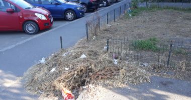 Ce are de ascuns conducerea firmei de salubritate Polaris M. Holding? Gunoaiele de pe străzile Constanței? - 4