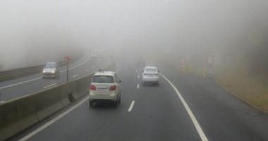 COD GALBEN de CEAŢĂ DENSĂ, în judeţul Constanţa