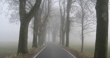 Stire din Eveniment : Infotrafic: Ceață densă pe A2, în județul Constanța