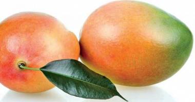 Stire din Sănătate : Ce beneficii are fructul de mango