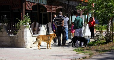 Galerie FOTO. Dezastrul din sudul litoralului: Ce capcane îi așteaptă pe turiști pe faleza din stațiunea Venus - 3