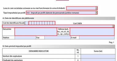 Stire din Economie : Ce declarații fiscale trebuie depuse până la 25 februarie